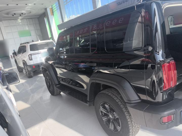 300 2021 Off-road 2.0T Conqueror photo 4