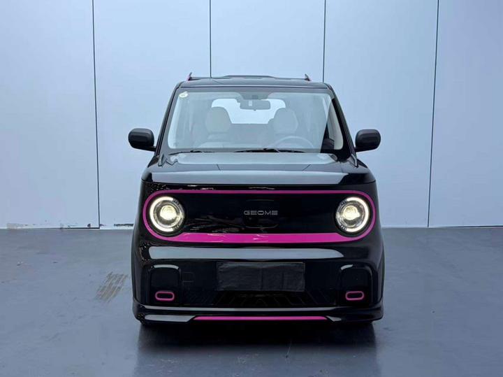 2025 210km Panda photo 2