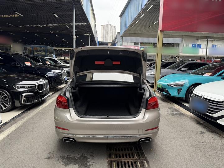 5 Series 2019 525Li Luxury photo 8