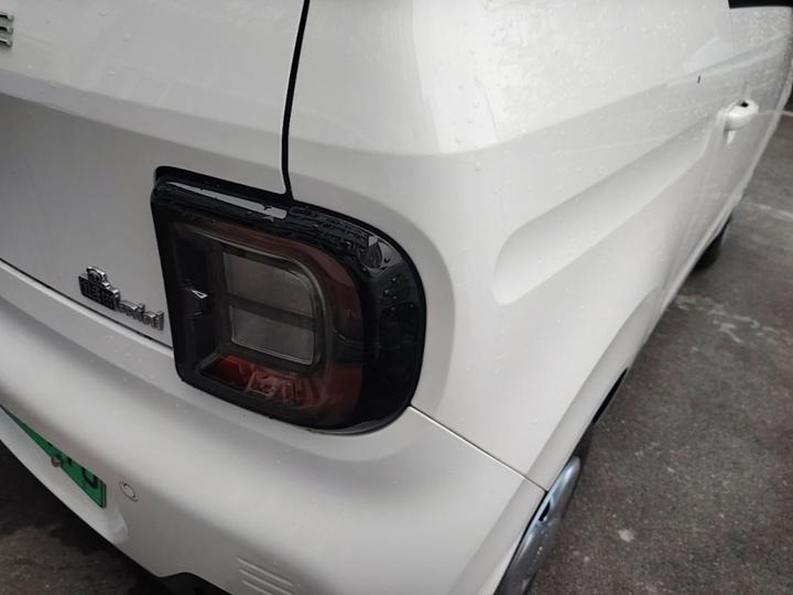 2023 Panda mini 200km Endurance Bear photo 7