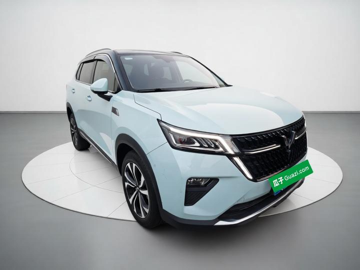 Wuling 2022 2.0L DHT photo 3