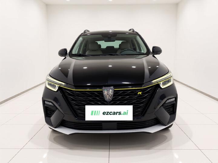 RX5 EV 2020 ePLUS Luxury photo 2