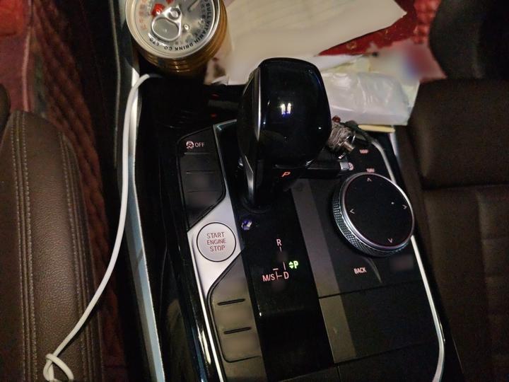 3 Series 2020 325Li Launch Edition photo 6