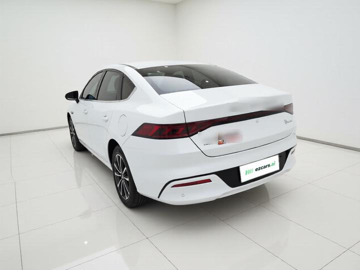 Qin PLUS 2024 Honor DM-i 55KM Leading photo 4
