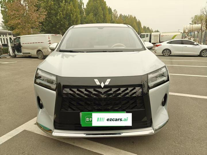 730 EV 2025 125km Luxury photo 2
