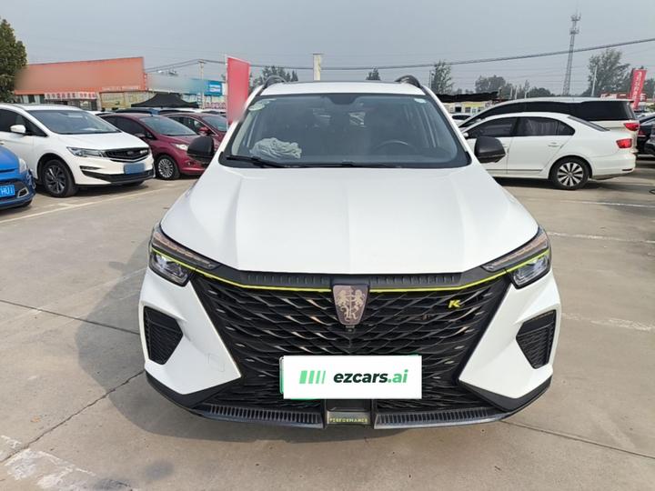RX5 EV 2021 ePLUS Luxury photo 2