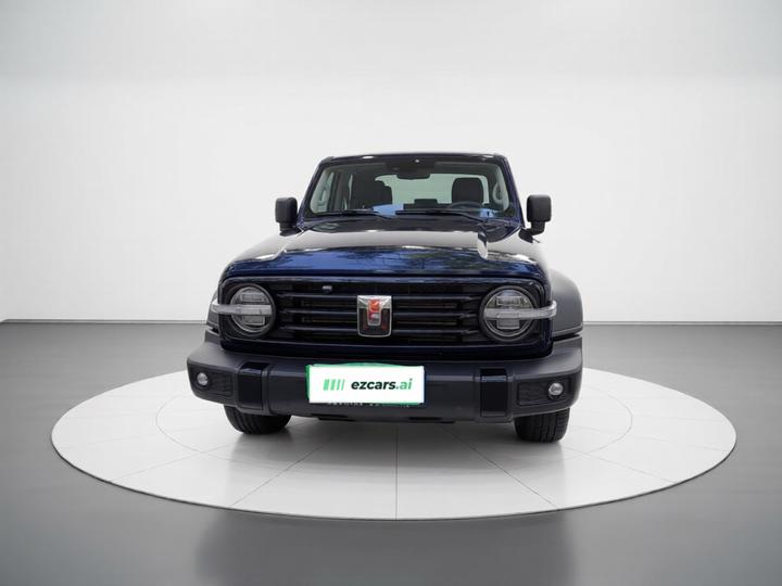 300 2023 Off-road 2.0T photo 2