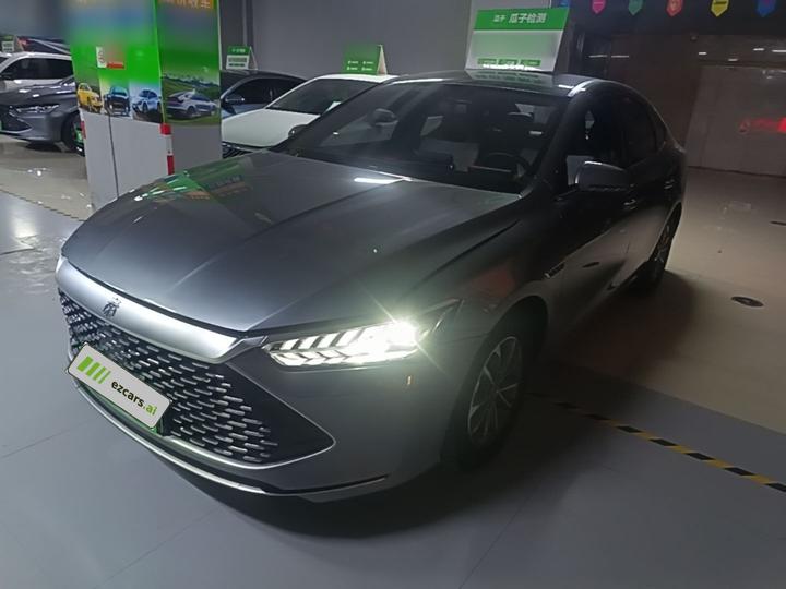 Qin PLUS 2024 Honor DM-i 55KM Leading
