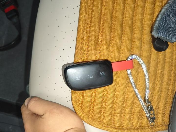 Z20 2026 430km RWD Pro photo 8