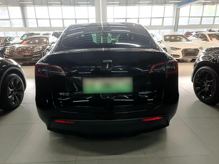 Model Y 2024 RWD photo 3