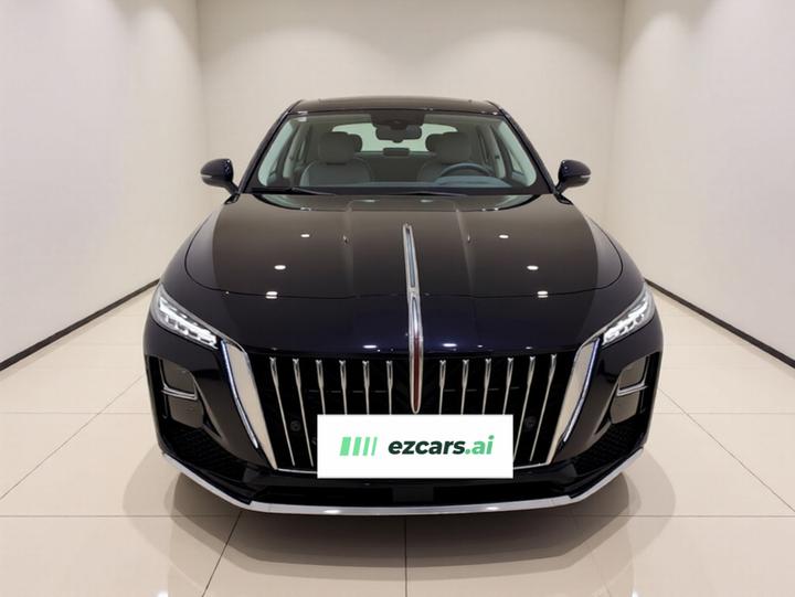 H5 PHEV 2025 130 photo 2