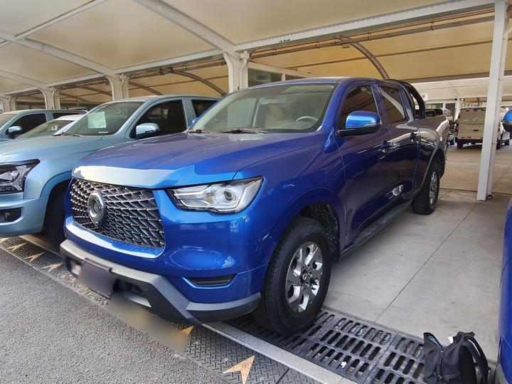 2021 2.0T AT Diesel AWD Elite GW4D20M