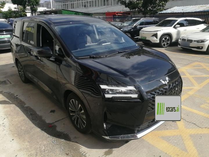 730 EV 2025 125km Luxury photo 3