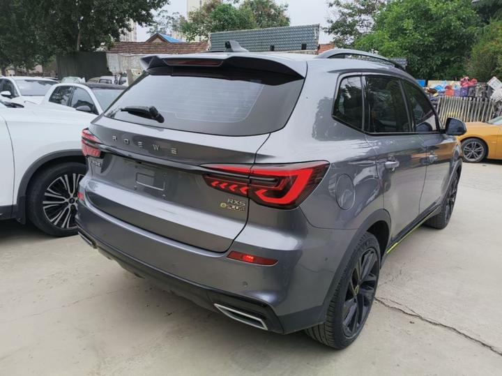 RX5 EV 2020 ePLUS Luxury photo 4