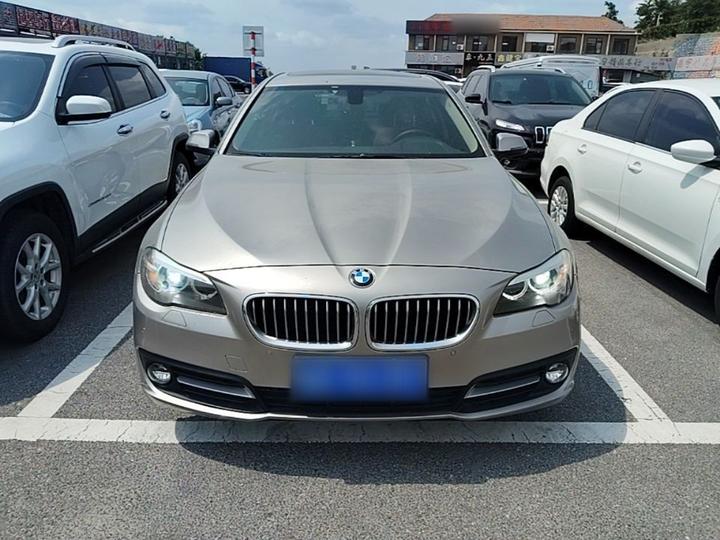 5 Series 2014 520Li photo 2