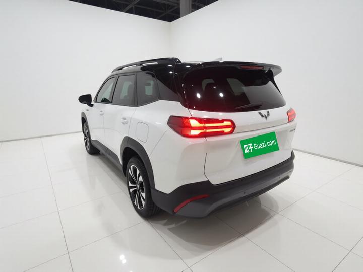 560 EV 2026 125km Luxury photo 4