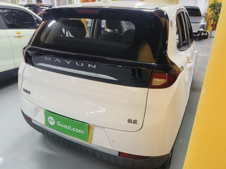 Dayun Yuehu 2022 300 Standard photo 6
