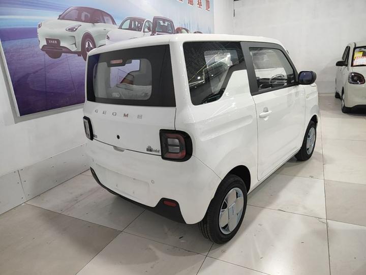 2024 Panda mini 200km Endurance Bear photo 6