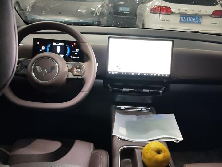730 EV 2025 125km Luxury photo 6