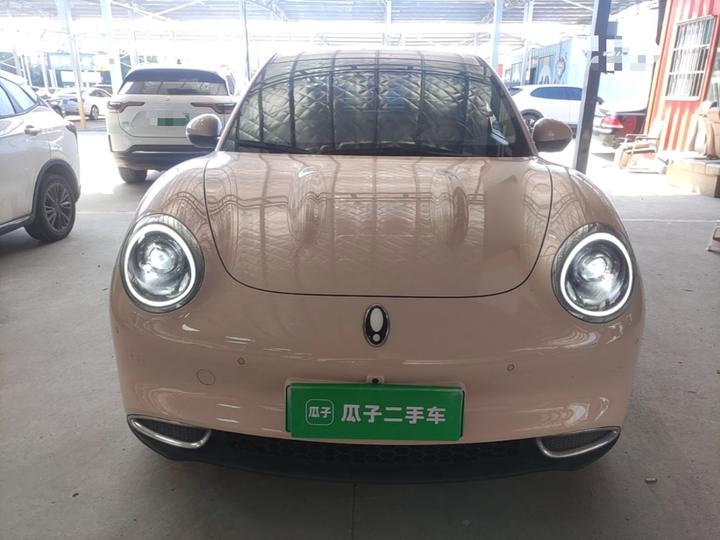 Good Cat 2022 400km Standard Range Luxury NCM photo 2