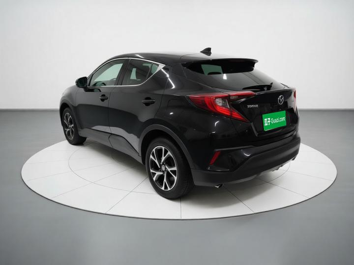 C-HR 2018 2.0L Luxury China V photo 4