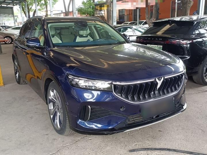 Voyah FREE 2021 AWD EREV Anniversary Edition Luxury photo 3