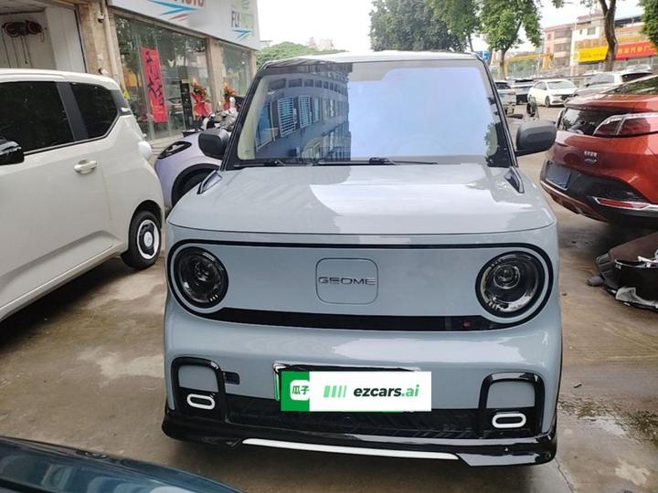 2025 210km Panda photo 2