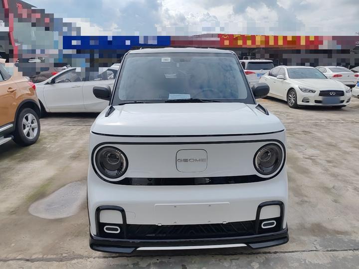 2025 210km Panda photo 2