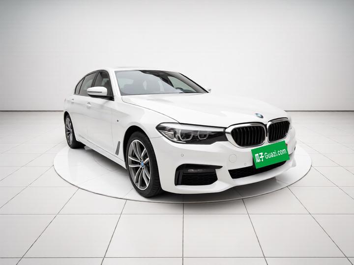 5 Series 2019 525Li M Sport Package photo 3