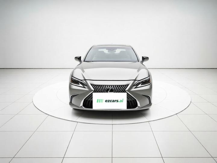ES 2020 300h Executive photo 2