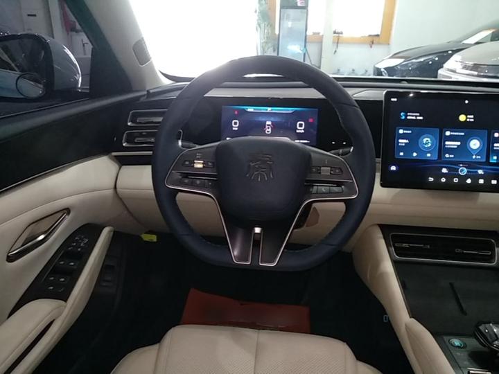 Qin L 2024 DM-i 80KM photo 6