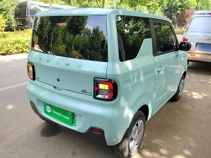 2024 Panda mini 200km Endurance Bear photo 4