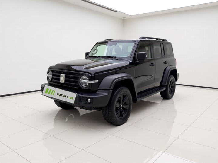 300 2021 Off-road 2.0T Conqueror