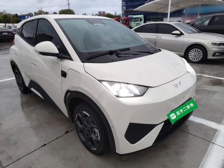 Seagull 2025 ADAS 305km photo 3
