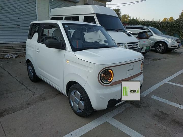 2024 Panda mini 200km Endurance Bear photo 3