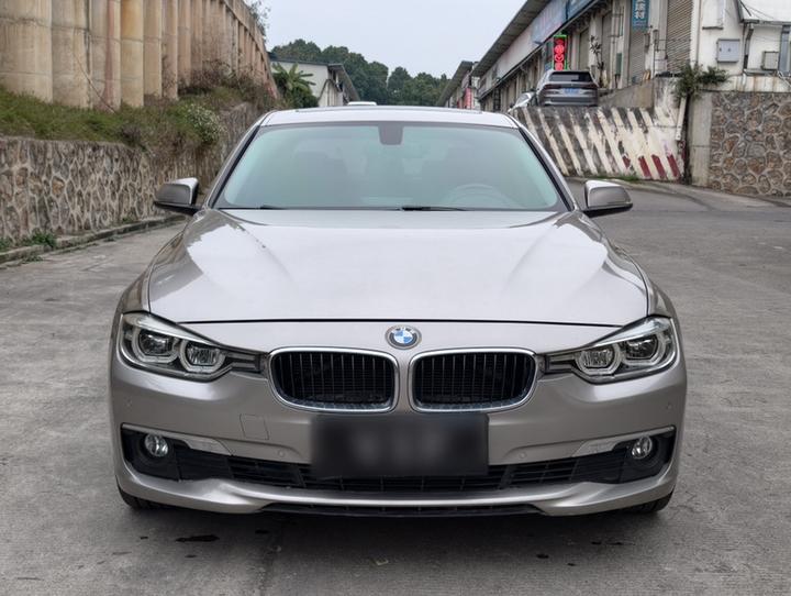 3 Series 2016 320Li Progressive photo 2