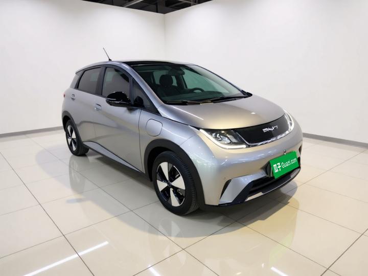 Dolphin 2023 420km Fashion photo 3
