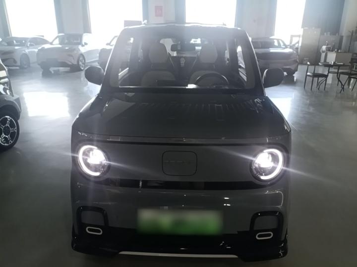 2025 210km Panda photo 2