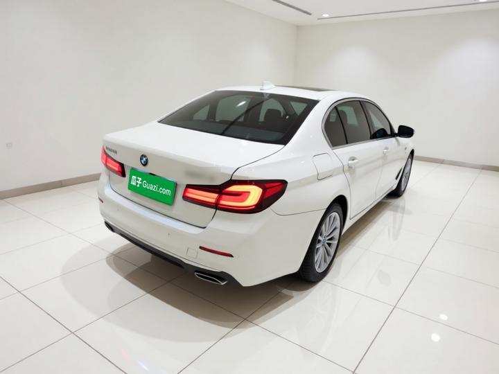 5 Series EV 2021 535Le Luxury photo 6