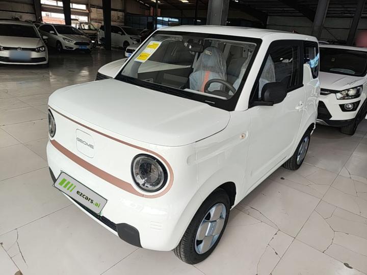 2024 Panda mini 200km Endurance Bear