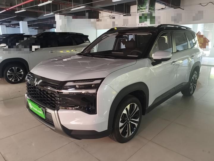560 EV 2026 125km Luxury