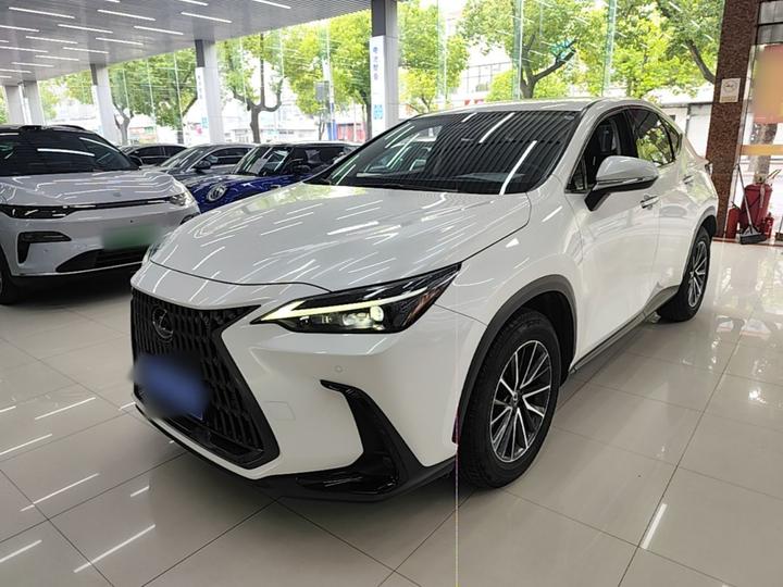 NX 2022 260 FWD