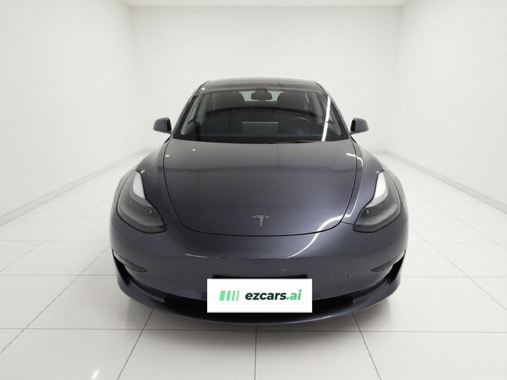 Model 3 2021 Performance AWD photo 2