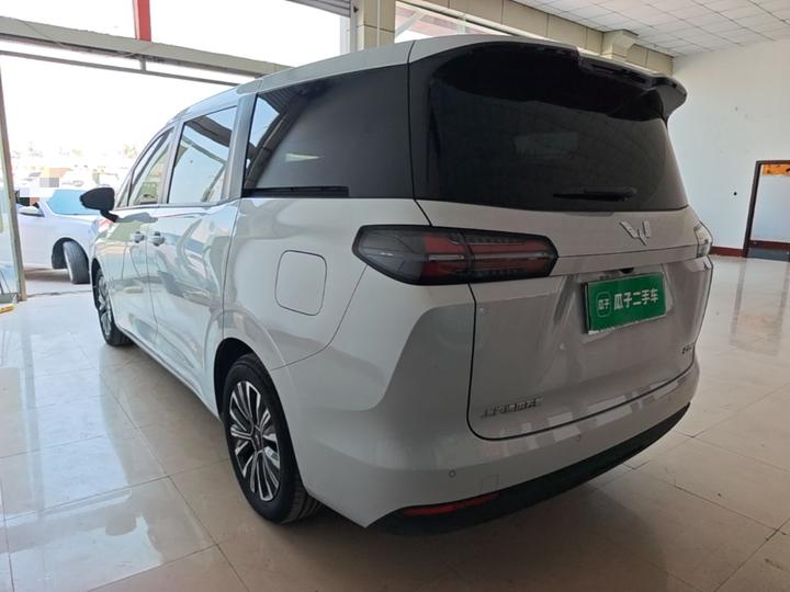 730 EV 2025 125km Luxury photo 4