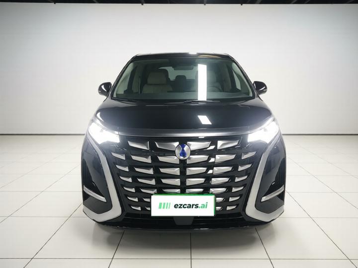 D9 2024 DM-i 970 Luxury photo 2