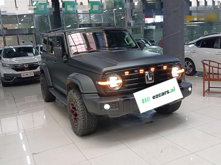 300 2021 Off-road 2.0T Conqueror photo 3