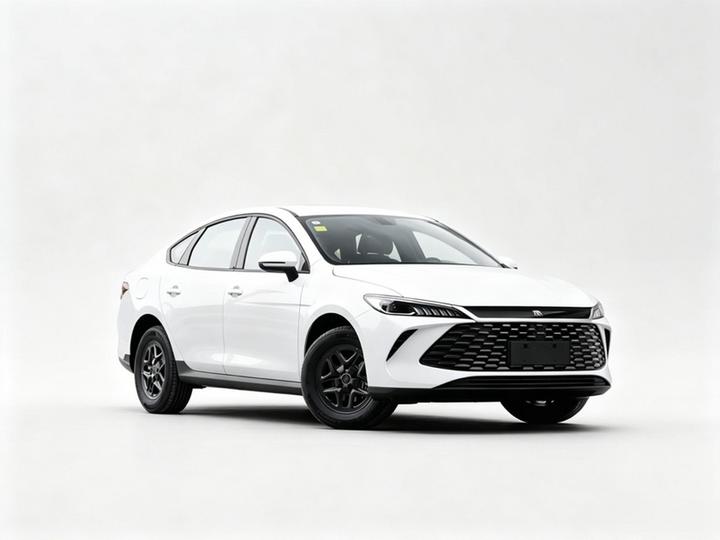 Qin PLUS 2026 DM-i 128KM Progressive photo 2