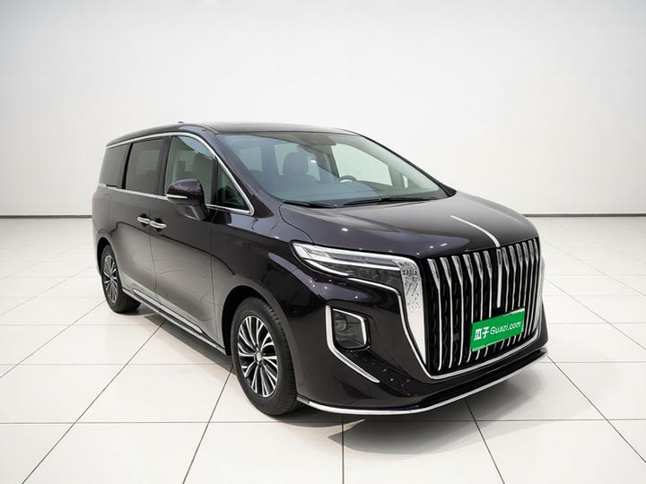 HQ9 PHEV 2024 2.0T AWD Business photo 3