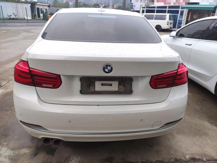 3 Series 2019 320Li Fashion photo 3