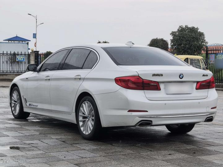 5 Series 2019 525Li Luxury photo 4